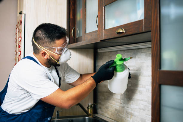  Marlow, OK Pest Control Pros