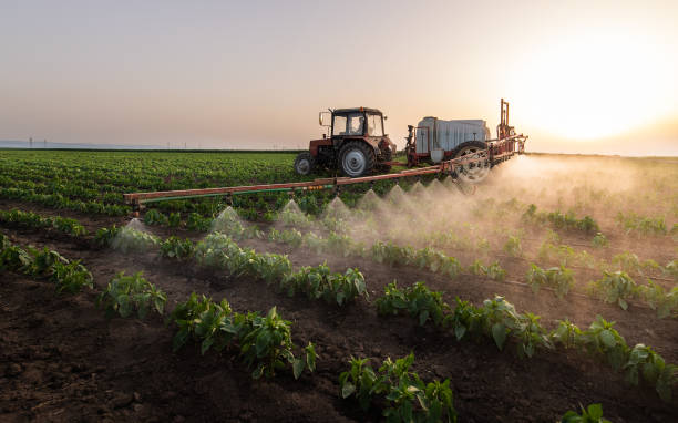 Insect Control in Marlow, OK