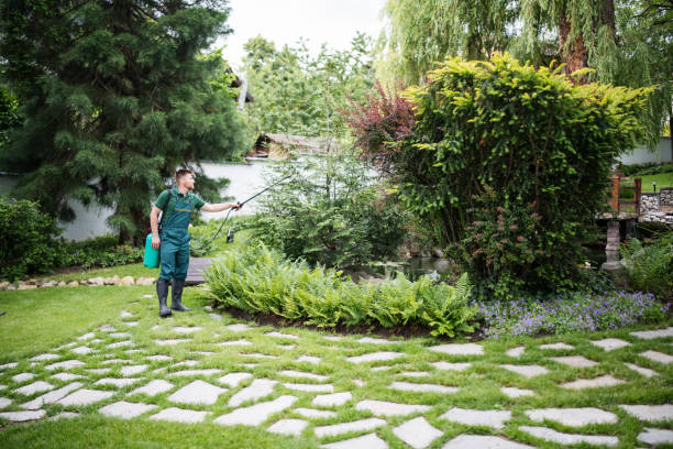 Best Pest Prevention Services  in Marlow, OK