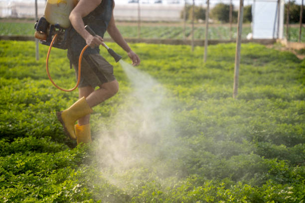 Best Local Pest Control Services  in Marlow, OK