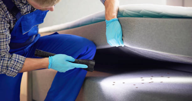 Best Rat Extermination Near Me  in Marlow, OK