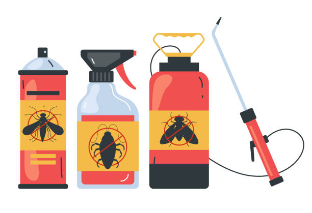Best Termite Control Services  in Marlow, OK