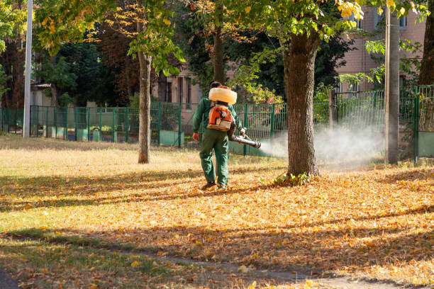 Best Flea Control Services  in Marlow, OK